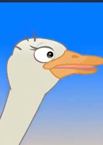 Ostrich