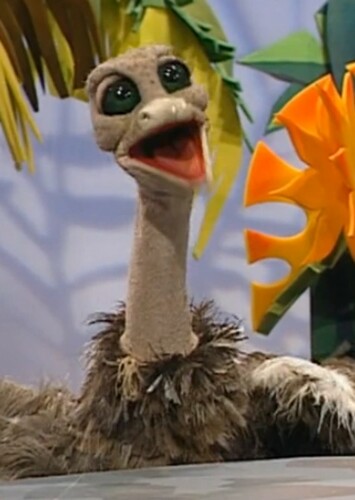 Ostrich