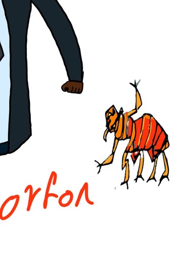 Orfon