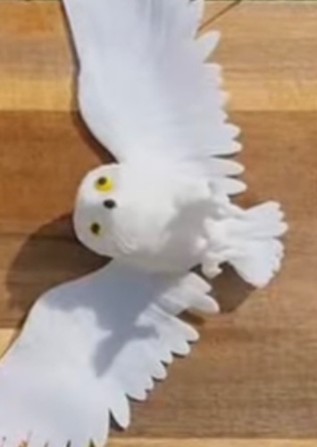 Owen the owl