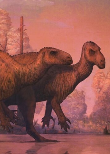 Owenodon