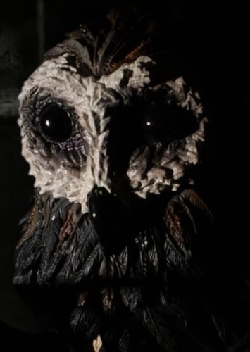 Owl