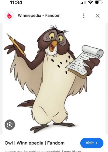 Owl