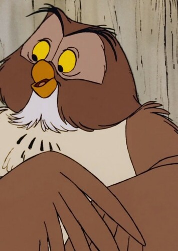 Owl
