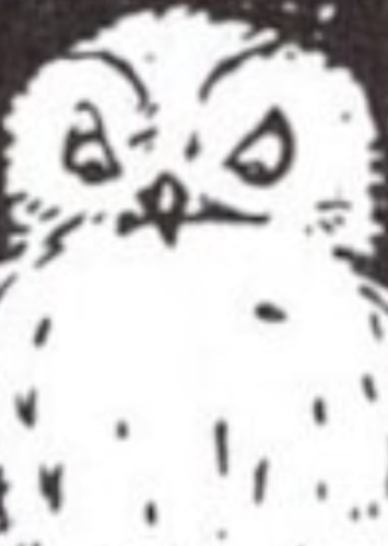 Owl