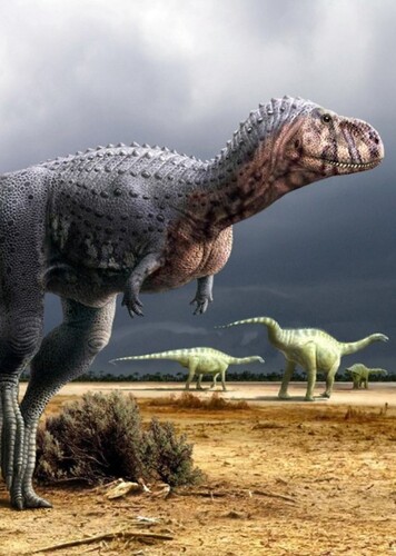 Ozraptor