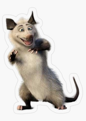 Ozzie The Opossum