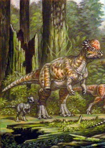 Pachycephalosaurus