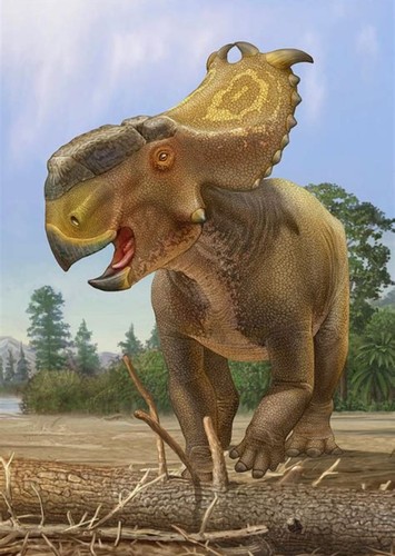 Pachyrhinosaurus