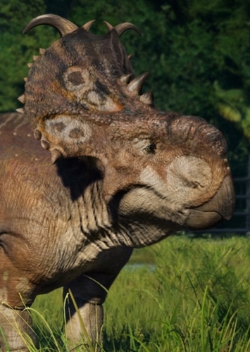 Pachyrhinosaurus