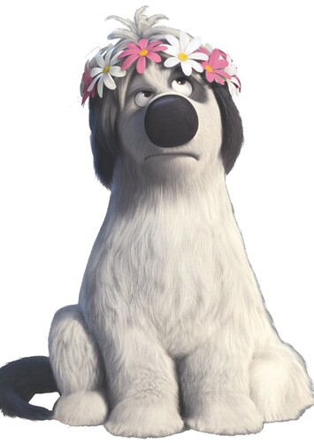 Paco The Dog