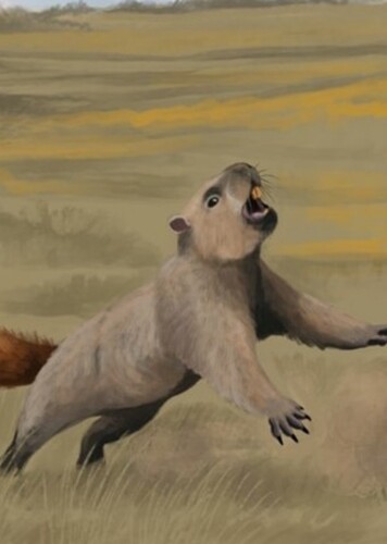 Paenemarmota