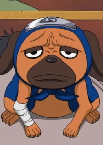 Pakkun Fan Casting for Naruto | myCast - Fan Casting Your Favorite Stories