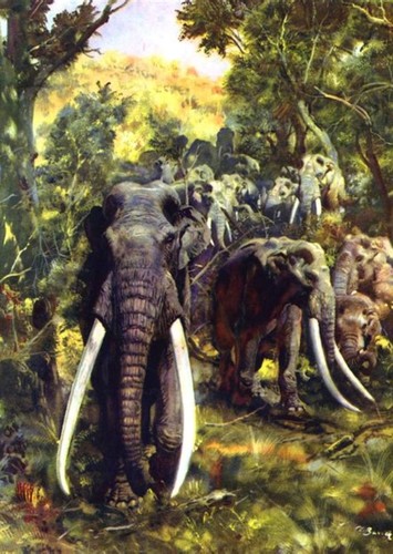 Palaeoloxodon