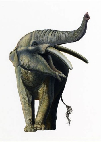 Palaeomastodon