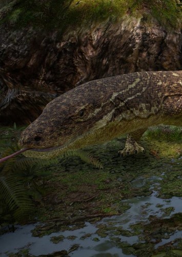 Palaeosaniwa