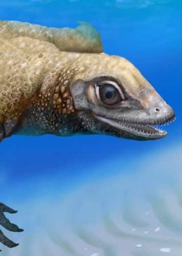 Palatodonta