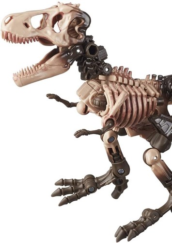 Paleorex