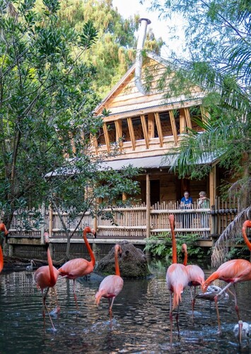 Palm Beach Zoo & Conservation Society