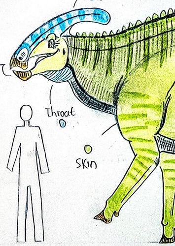 Pamela Walters the Parasaurolophus Walkeri