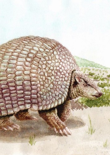Pampatherium