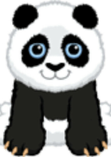 Panda Cub