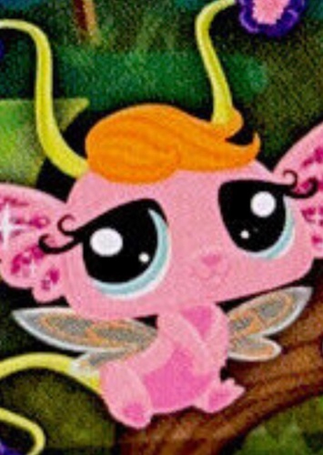 Pansy Fairy
