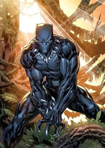 Pantera negra