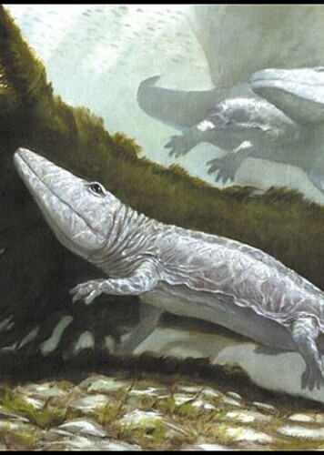 Paracyclotosaurus