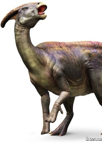 Parasaurolophus