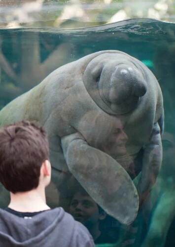 Parc Zoologique de Paris
