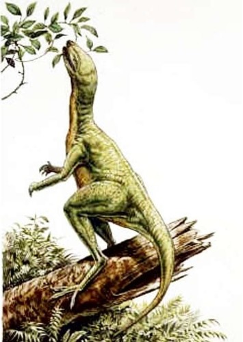 Parksosaurus