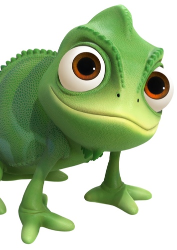 Pascal