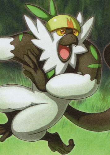 Passimian / ナゲツケサル