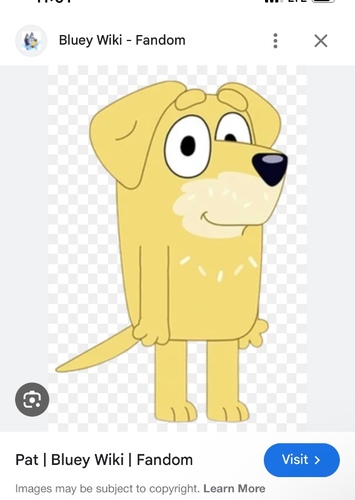 Pat