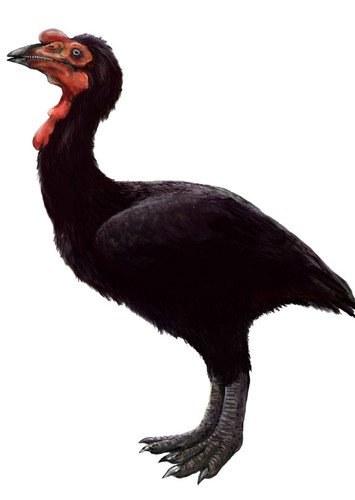 Patagopteryx