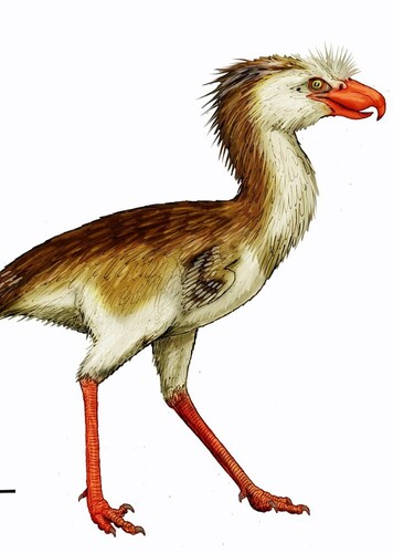 Patagornis