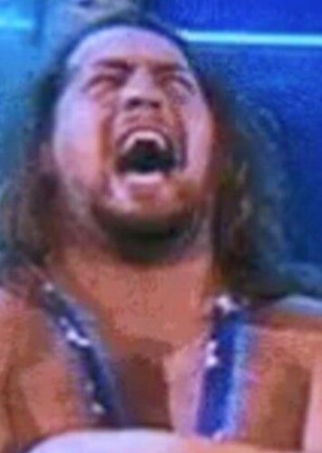 Paul Wight