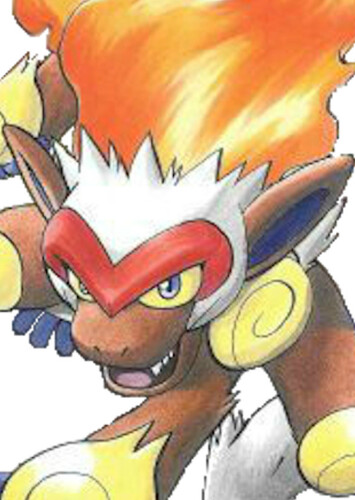 Pearl's Infernape (English Dub)
