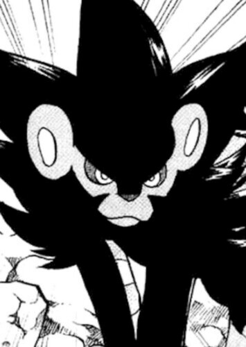 Pearl's Luxray (English Dub)