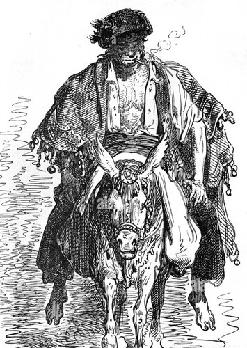 Pedro the Muleteer