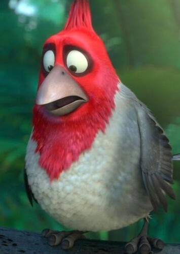 Pedro (Rio)