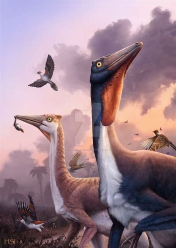Pelecanimimus