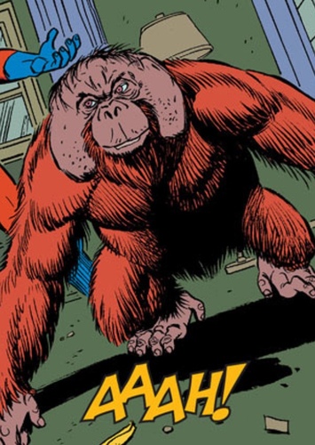 Peotr the Orangutan