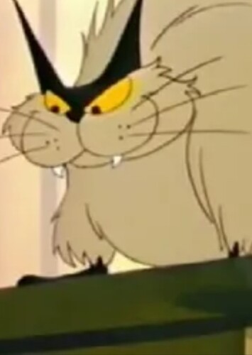 Catgut