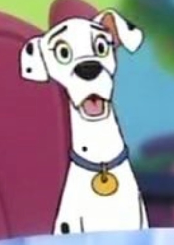 Perdita