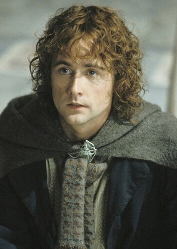 Peregrin "Pippin" Took