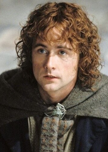 Peregrin "Pippin" Took