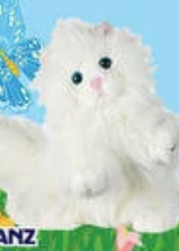 Persian Cat