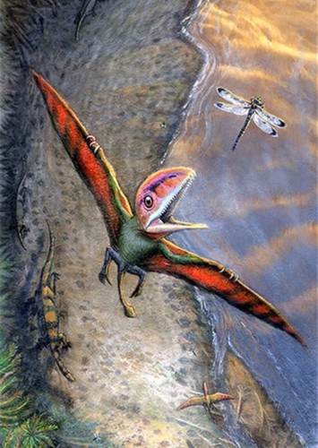 Peteinosaurus